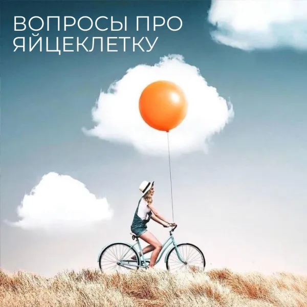 Всё о яйцеклетках: сколько, где, как долго живут