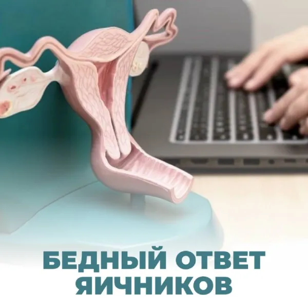 «ЭКО вам не поможет»: бедный ответ яичников на стимуляцию