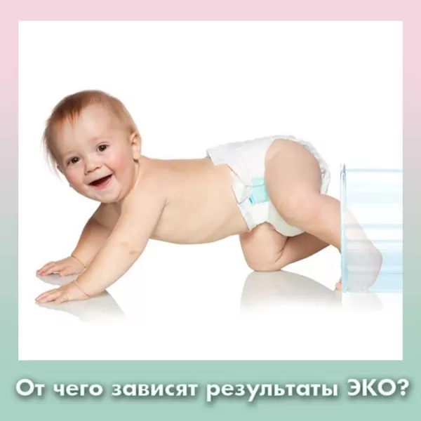 От чего зависят результаты ЭКО?